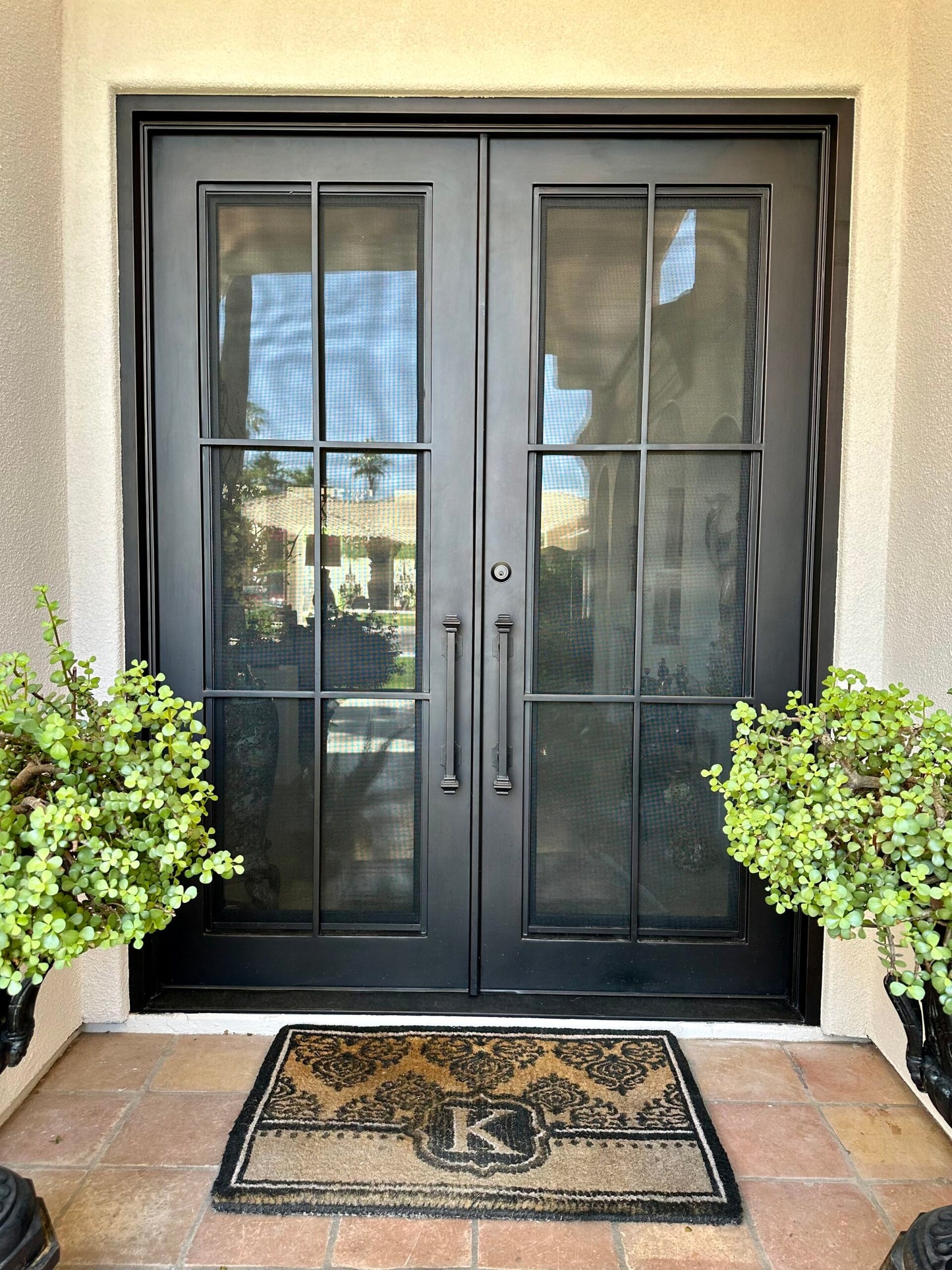 Design 41 - Double Iron Door
