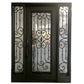 Design 38 - Single Iron Door w/ Sidelights
