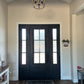 Design 37 - Single Iron Door w/ Sidelights